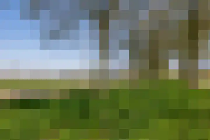 Tweemanspolder 25 Zevenhuizen thumbnail 51