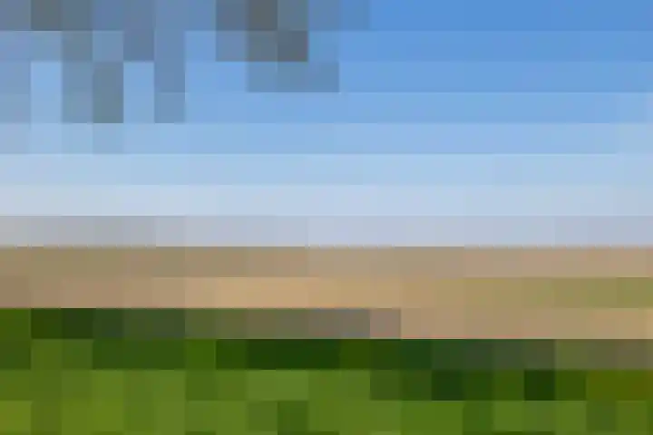 Tweemanspolder 25 Zevenhuizen thumbnail 52