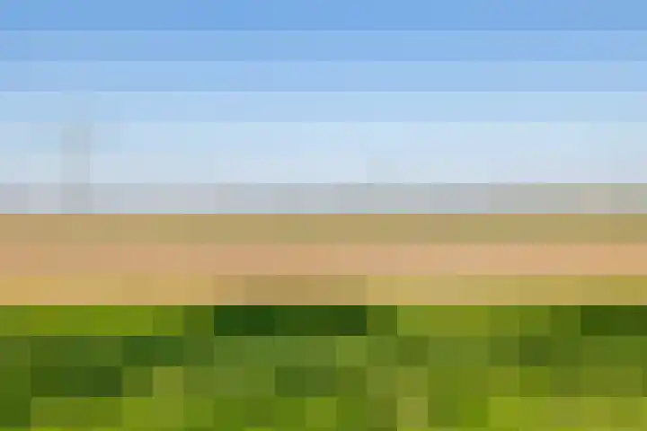 Tweemanspolder 25 Zevenhuizen thumbnail 53