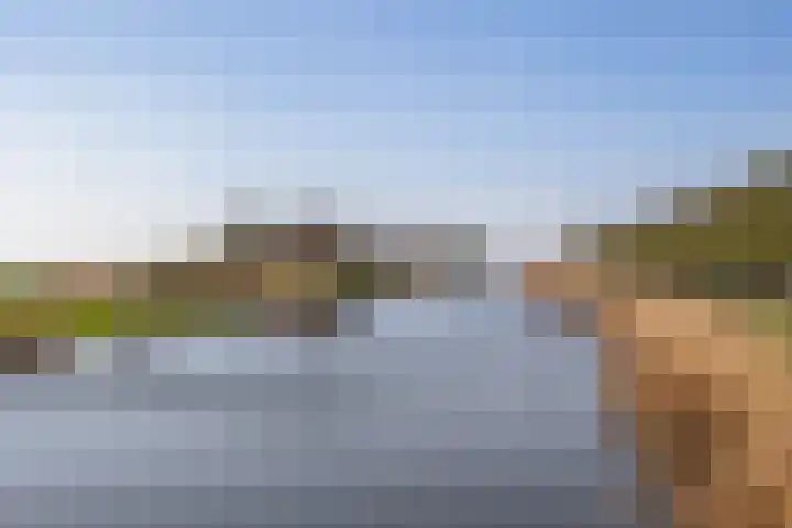 Tweemanspolder 25 Zevenhuizen thumbnail 54