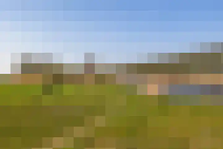 Tweemanspolder 25 Zevenhuizen thumbnail 55
