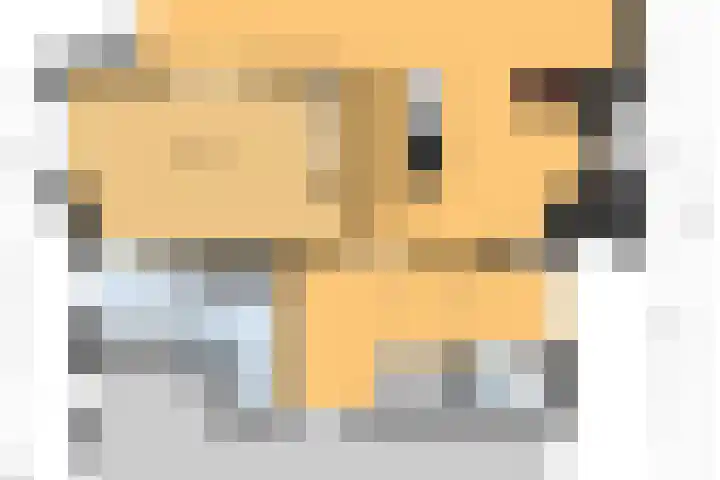 Tweemanspolder 25 Zevenhuizen thumbnail 58