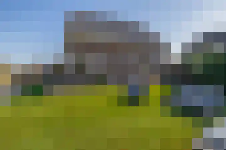 Tweemanspolder 25 Zevenhuizen thumbnail 6