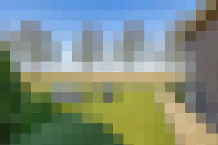 Tweemanspolder 25 Zevenhuizen thumbnail 7