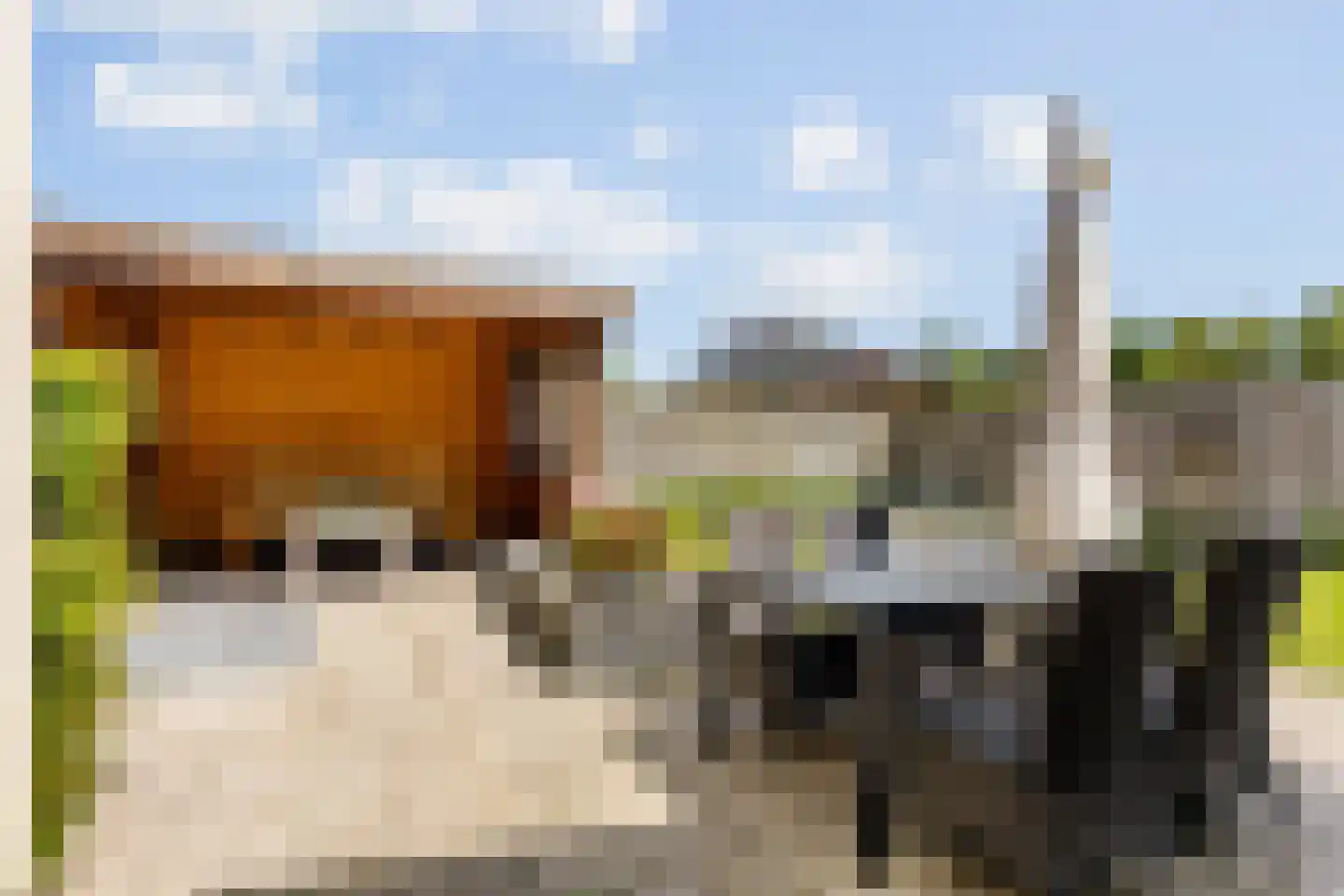Tweemanspolder 6 a 70 Zevenhuizen thumbnail 22