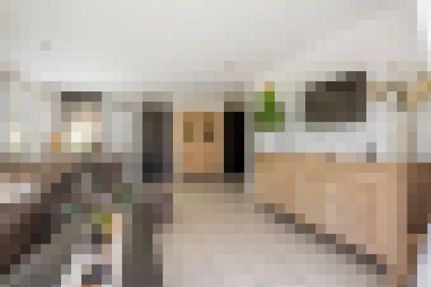 Tweemanspolder 6 a 70 Zevenhuizen thumbnail 8