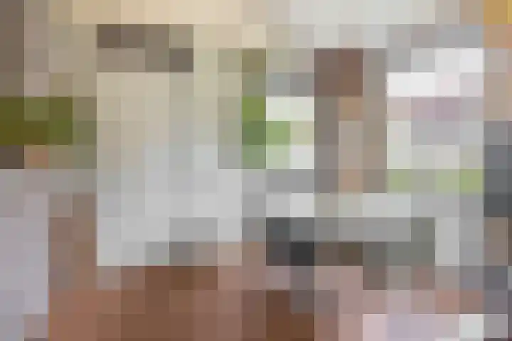 Tweemanspolder 6 a 87 Zevenhuizen thumbnail 10