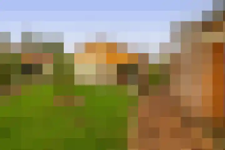 Tweemanspolder 6 a 87 Zevenhuizen thumbnail 21