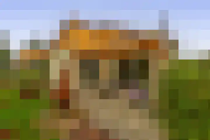 Tweemanspolder 6 a 87 Zevenhuizen thumbnail 22
