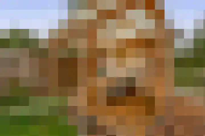 Tweemanspolder 6 a 87 Zevenhuizen thumbnail 23