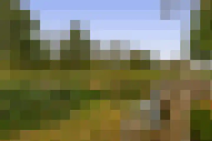 Tweemanspolder 6 a 87 Zevenhuizen thumbnail 24