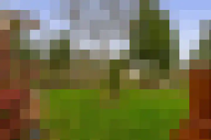 Tweemanspolder 6 a 87 Zevenhuizen thumbnail 25