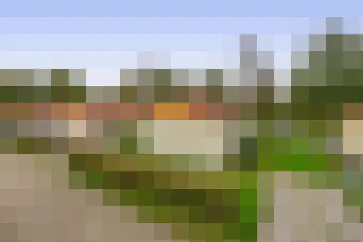 Tweemanspolder 6 a 87 Zevenhuizen thumbnail 27