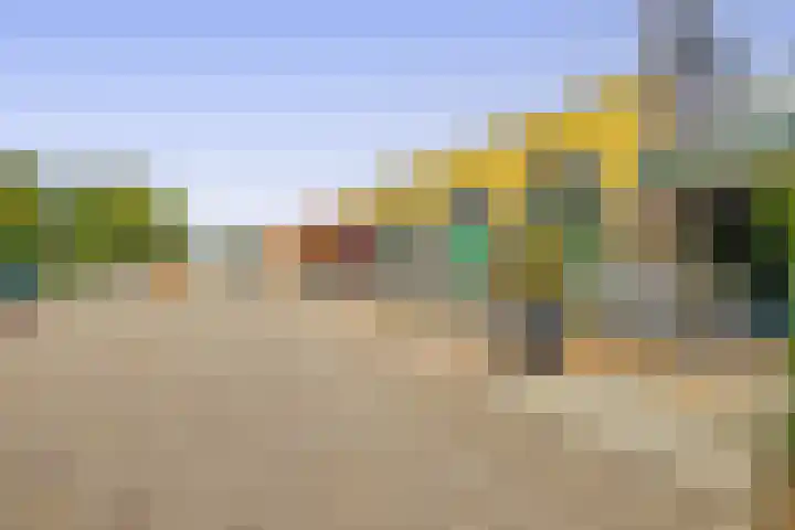 Tweemanspolder 6 a 87 Zevenhuizen thumbnail 28