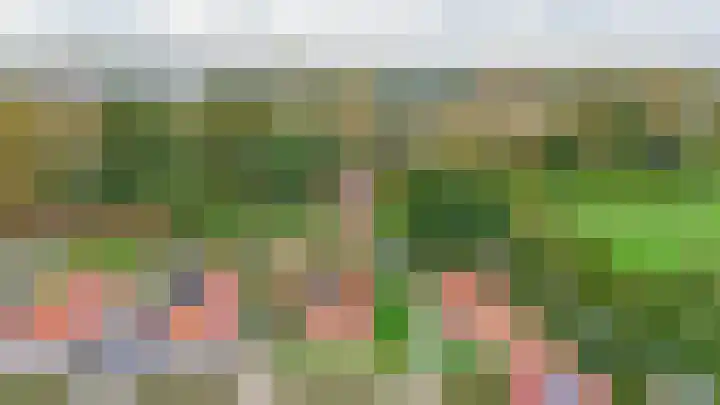Tweemanspolder 6 a 87 Zevenhuizen thumbnail 30