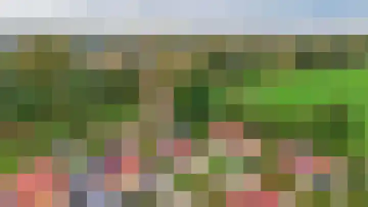 Tweemanspolder 6 a 87 Zevenhuizen thumbnail 31