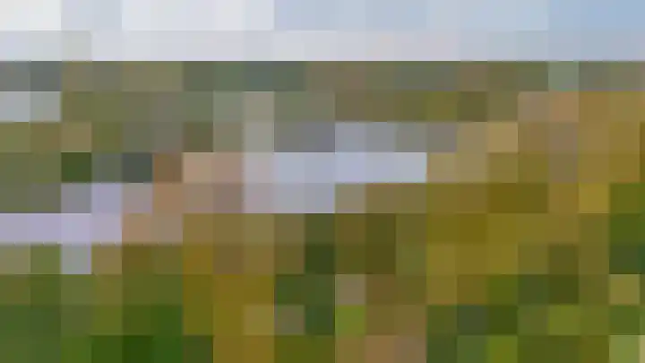 Tweemanspolder 6 a 87 Zevenhuizen thumbnail 32
