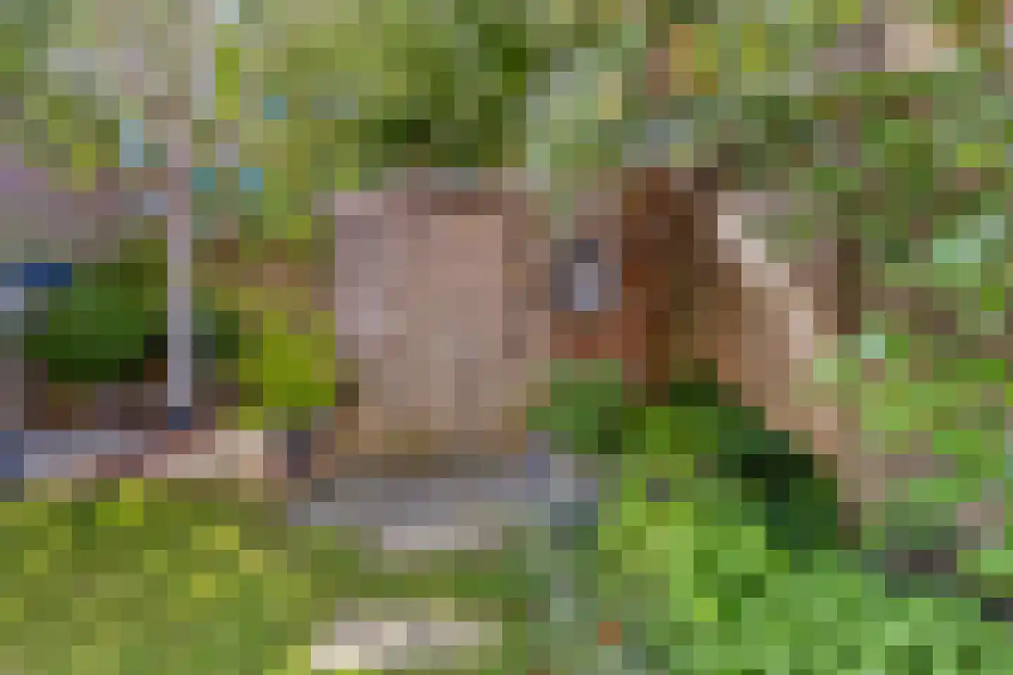 Tweemolentjeskade 11 Delft thumbnail 17