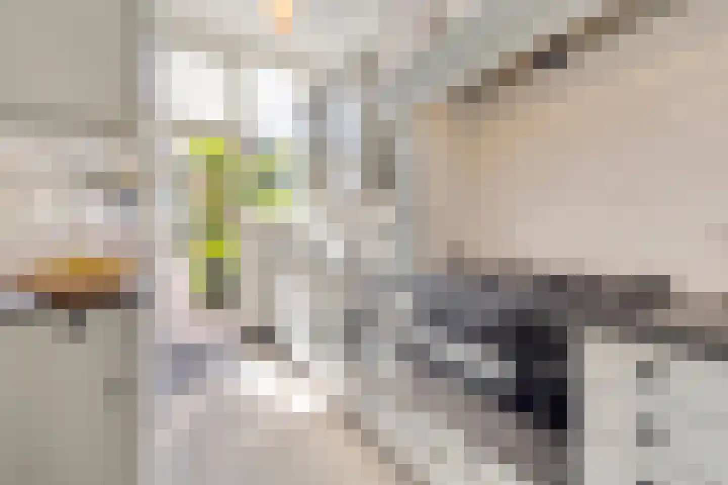 Tweemolentjeskade 11 Delft thumbnail 20