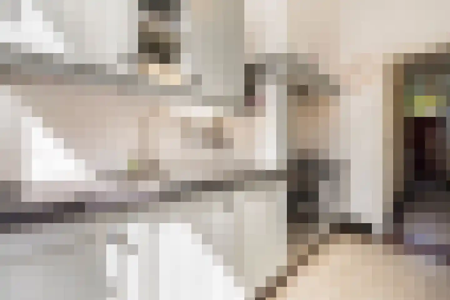 Tweemolentjeskade 11 Delft thumbnail 21