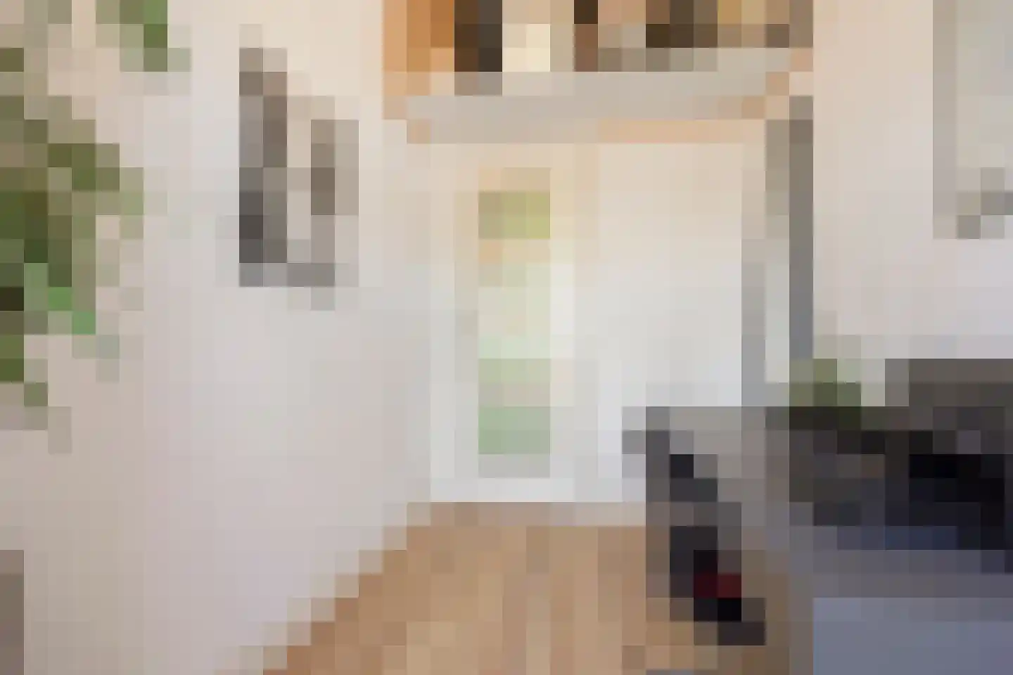 Tweemolentjeskade 11 Delft thumbnail 34