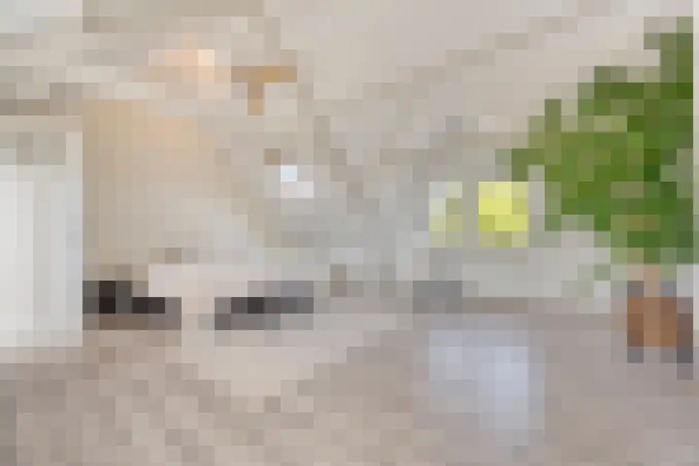 Tweemolentjeskade 11 Delft thumbnail 39