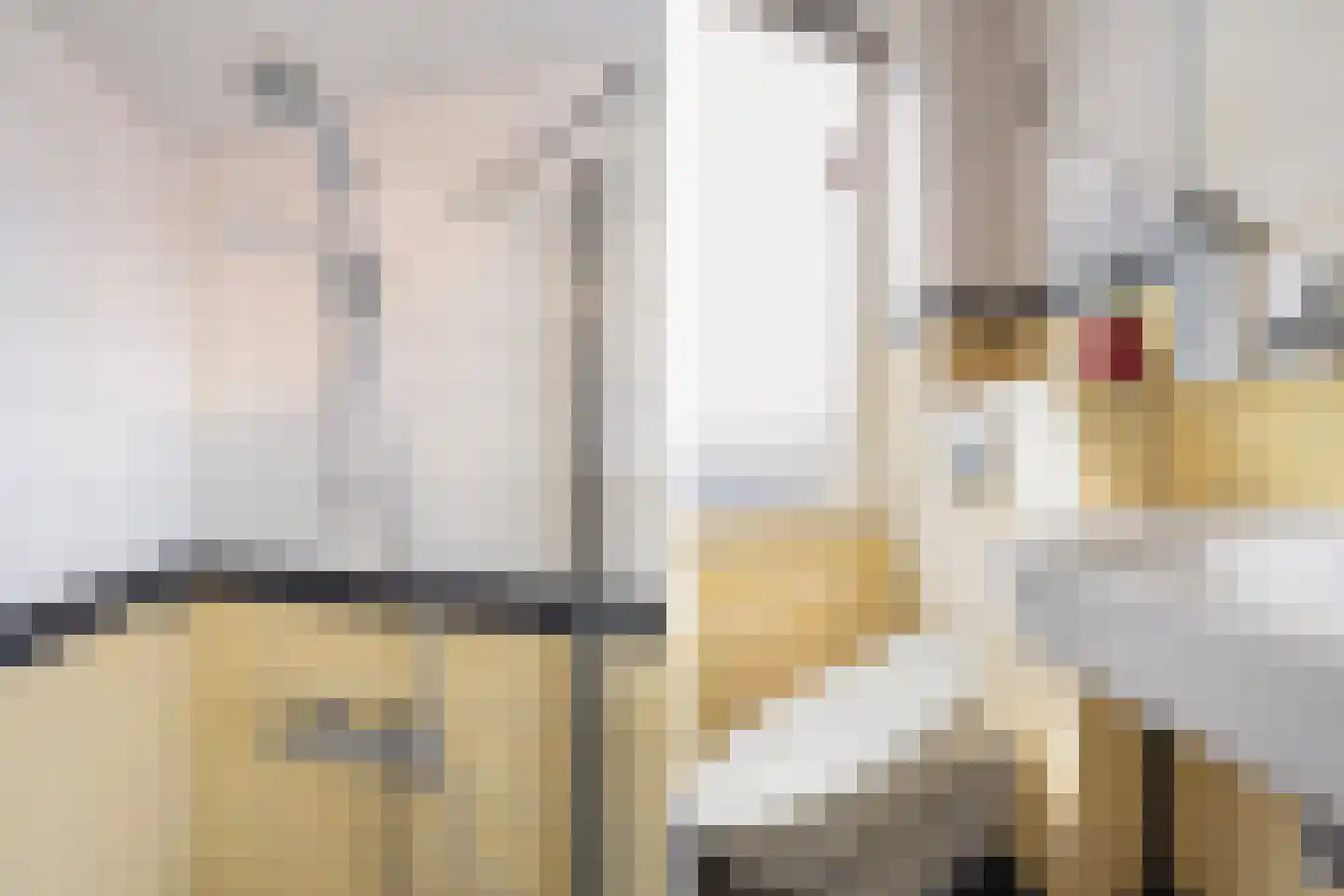 Tweemolentjeskade 11 Delft thumbnail 43