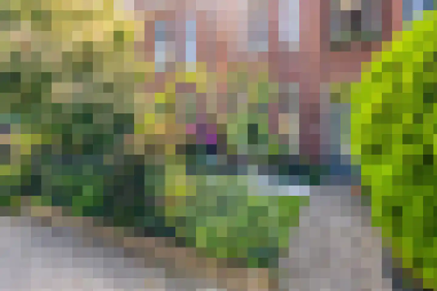 Tweemolentjeskade 11 Delft thumbnail 45