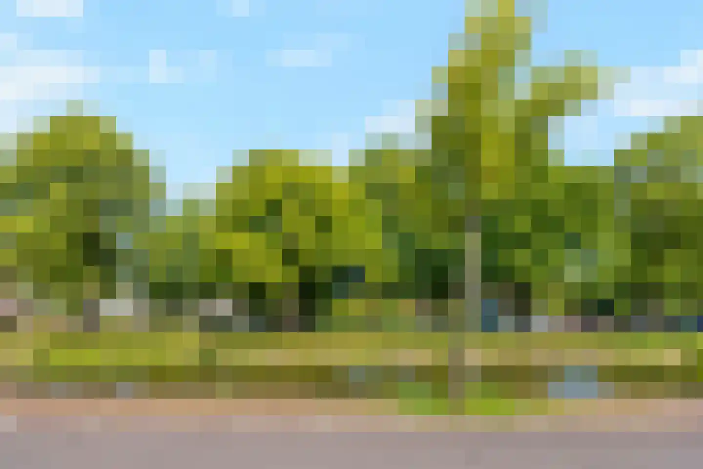 Tweemolentjeskade 11 Delft thumbnail 46