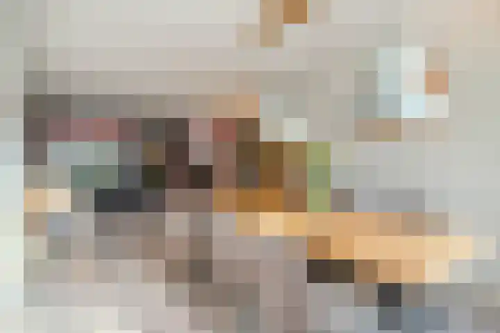 Tweerijten 12 Nuenen thumbnail 17