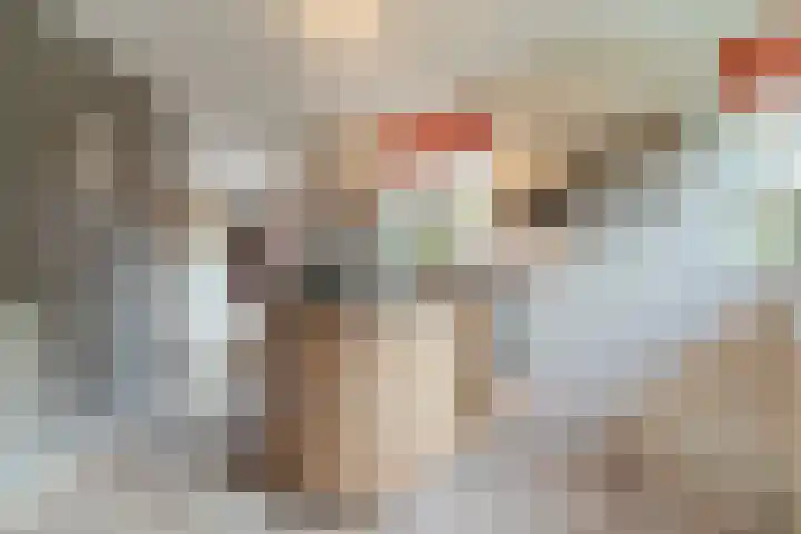 Tweerijten 12 Nuenen thumbnail 20