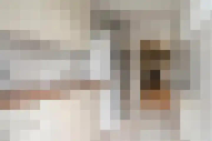 Tweerijten 12 Nuenen thumbnail 21