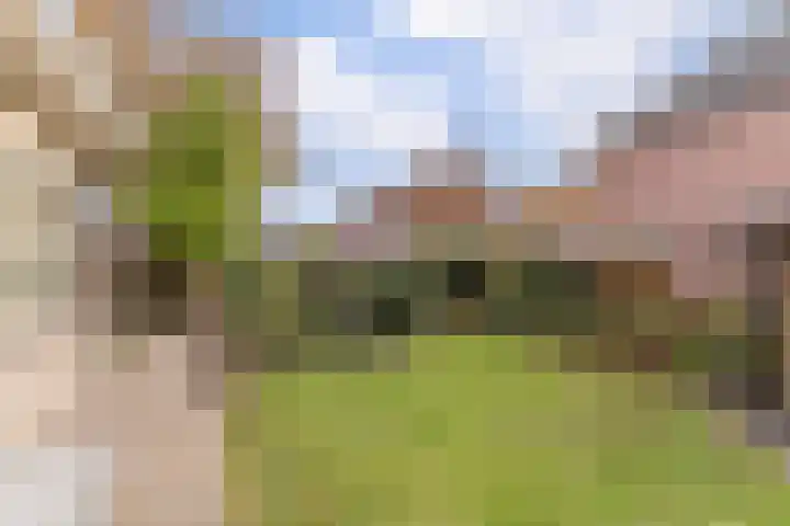 Tweerijten 12 Nuenen thumbnail 23
