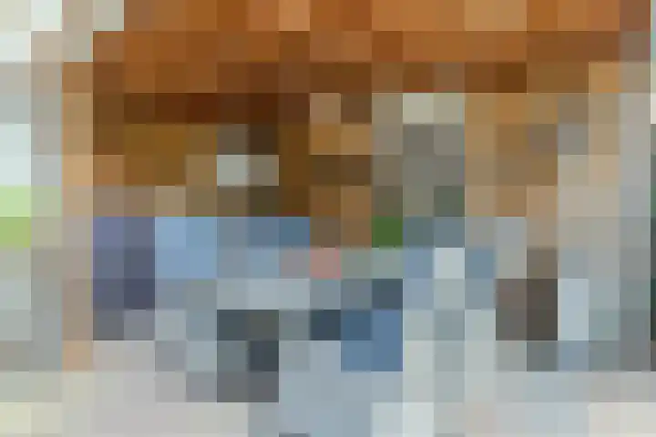 Tweerijten 12 Nuenen thumbnail 24