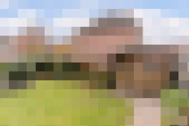 Tweerijten 12 Nuenen thumbnail 25