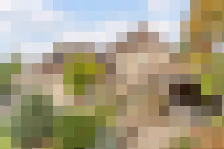 Tweerijten 12 Nuenen thumbnail 26