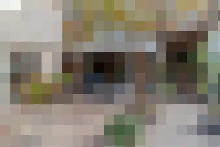 Tweerijten 12 Nuenen thumbnail 27