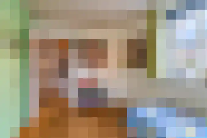 Tweerijten 12 Nuenen thumbnail 34