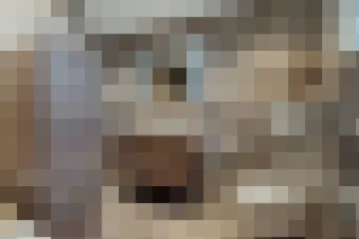 Tweerijten 12 Nuenen thumbnail 38