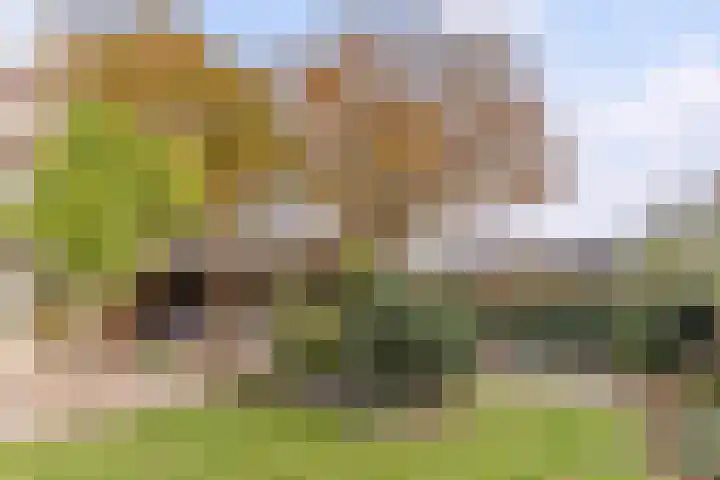 Tweerijten 12 Nuenen thumbnail 4
