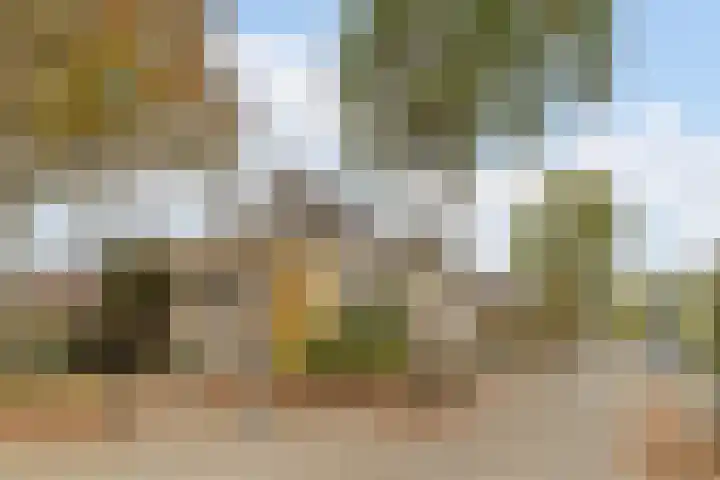 Tweerijten 12 Nuenen thumbnail 5
