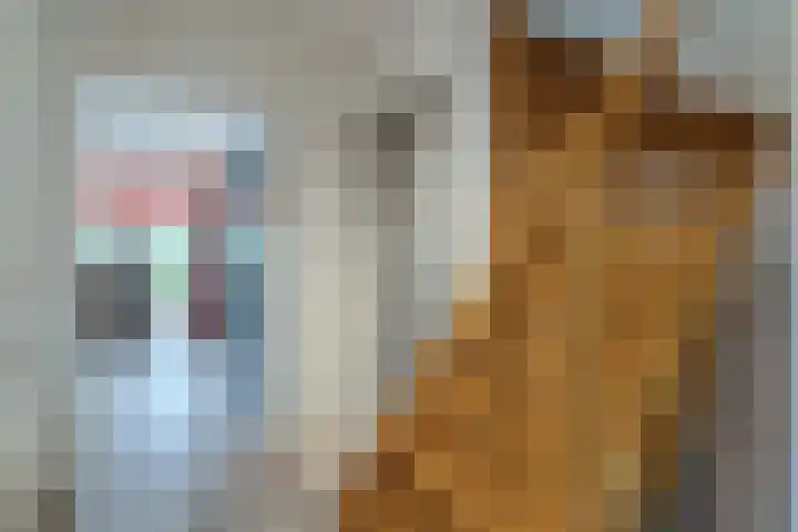 Tweerijten 12 Nuenen thumbnail 8