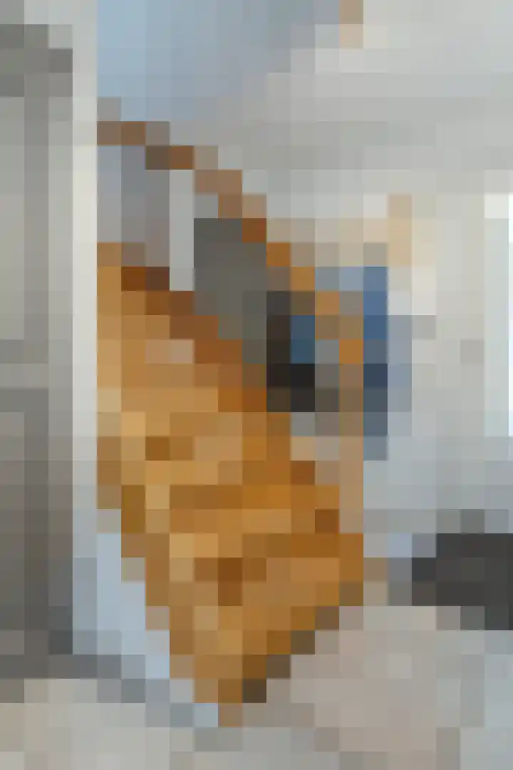 Tweerijten 12 Nuenen thumbnail 9