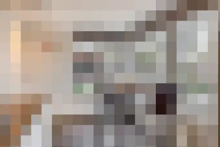Tweerijten 25 Nuenen thumbnail 20