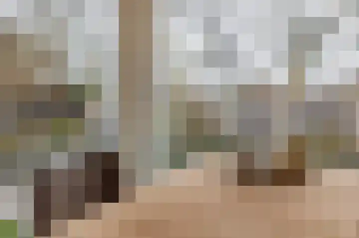 Tweerijten 25 Nuenen thumbnail 22