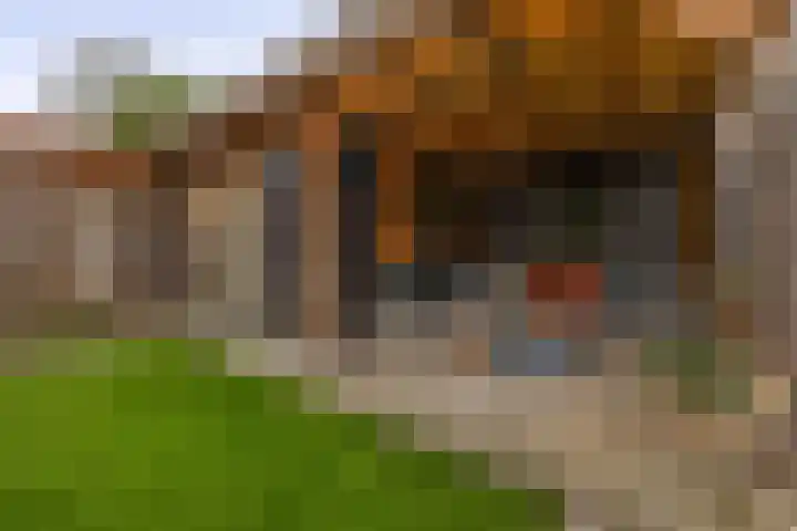 Tweerijten 25 Nuenen thumbnail 45