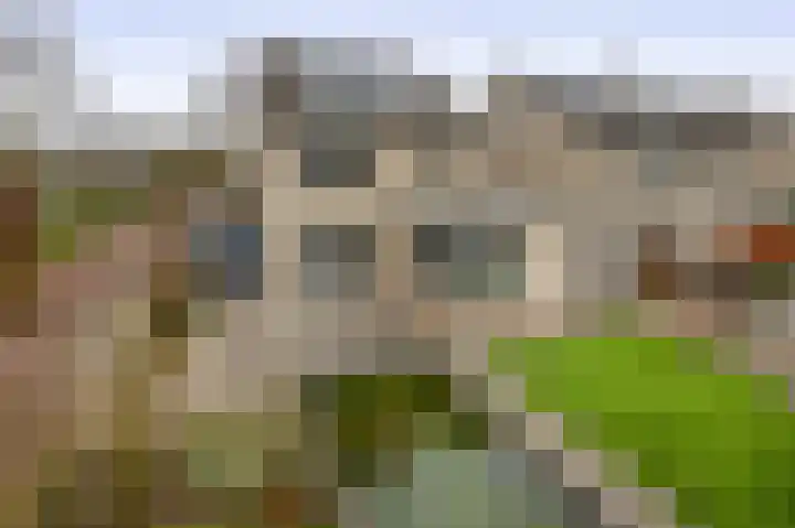 Tweerijten 25 Nuenen thumbnail 49