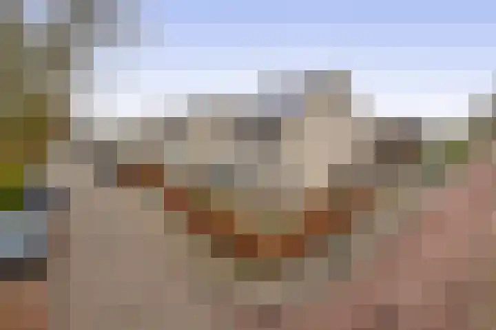 Tweerijten 25 Nuenen thumbnail 52