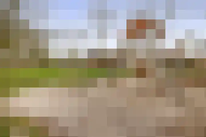 Tweerijten 25 Nuenen thumbnail 53