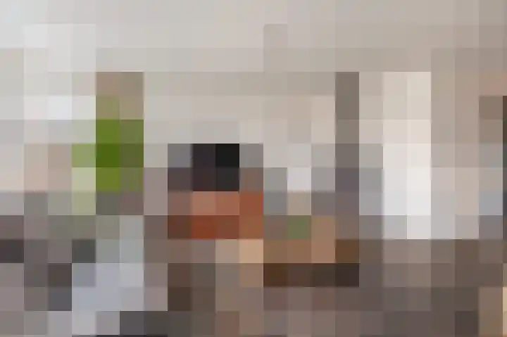 Tweerijten 25 Nuenen thumbnail 7